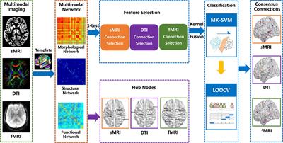 Morphological, Structural, and Functional Networks Highlight the Role of the Cortical-Subcortical Circuit in Individuals With Subjective Cognitive Decline